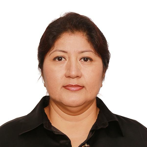 Foto Auditor
