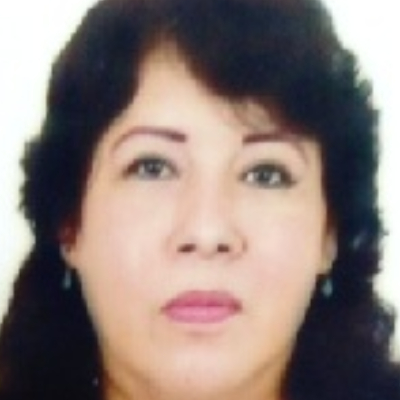 Foto Auditor
