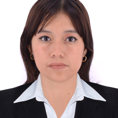 Foto Auditor