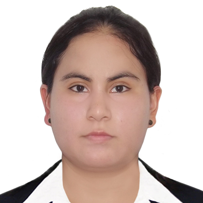 Foto Auditor