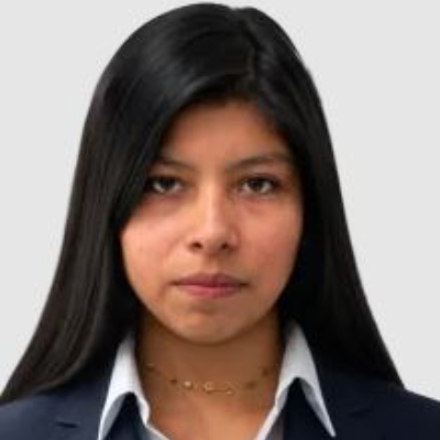 Foto Auditor