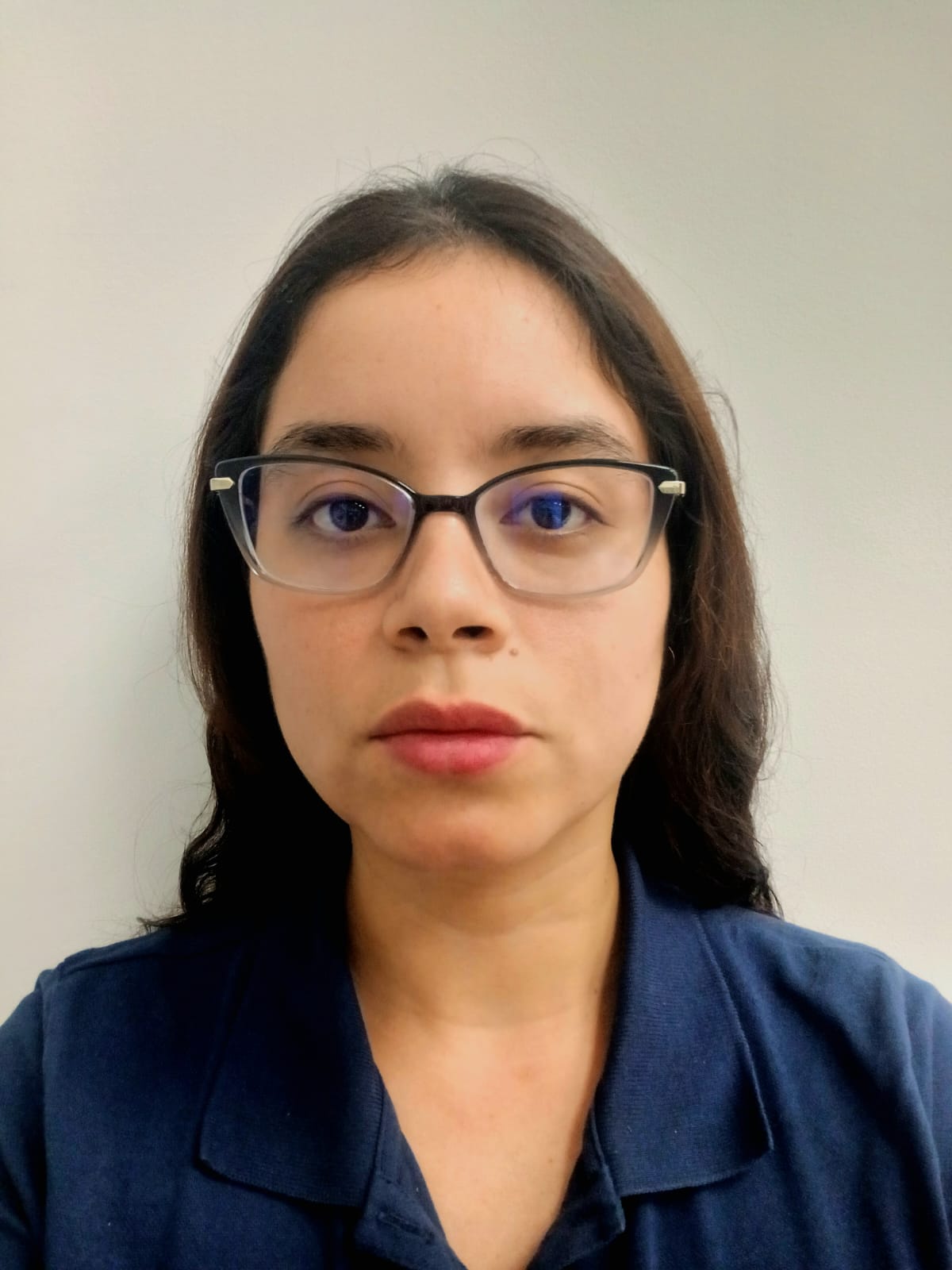 Foto Auditor