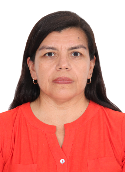 Foto Auditor